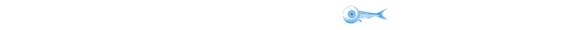 323ae5cd5d720710ddef9f893036e319d50c17c5 1920x100