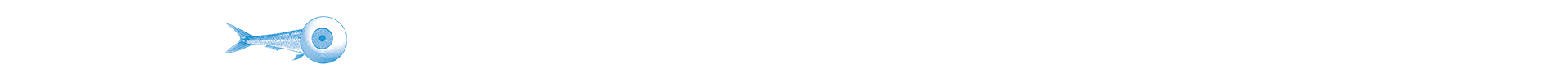 44c007955dbee9f75ced1a66a1297e9d5a34c0f8 1920x100