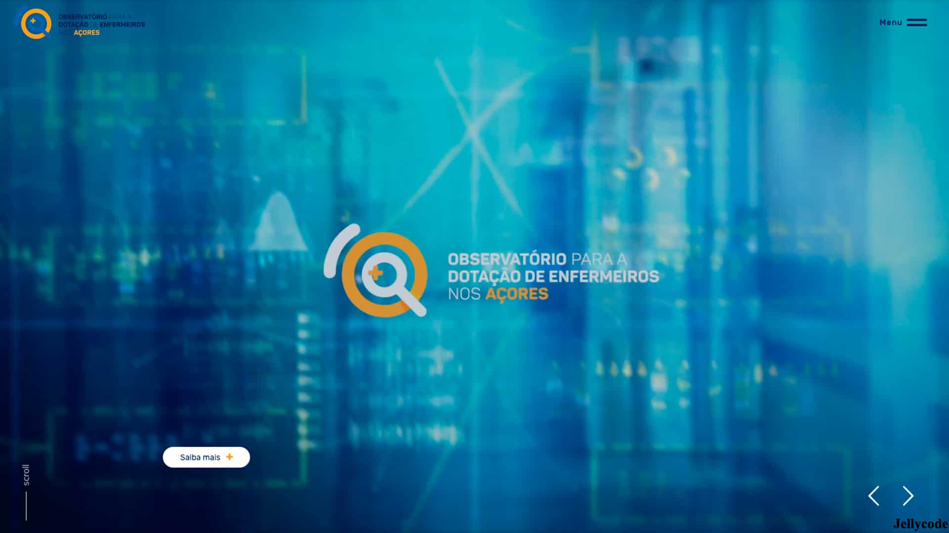 Website Observatorio de enferemeiros